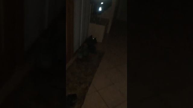 Засняли реальные исторические артефакты и полтергейст. #НЛО #Призрак смотреть онлайн