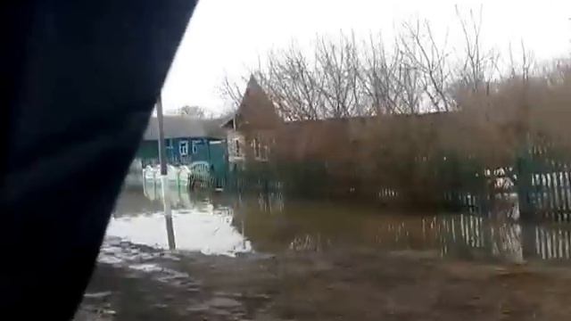 г.Каменка 2.mp4 смотреть онлайн