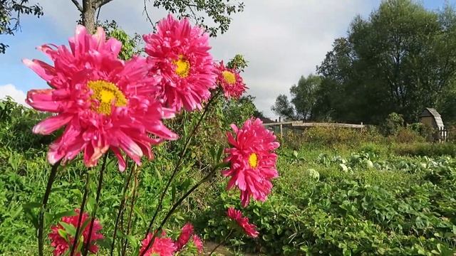 Заглянуть к бабушке смотреть онлайн