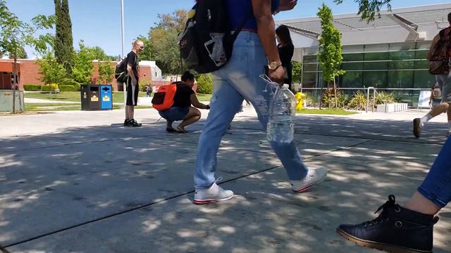 Service Dog Training Near Me