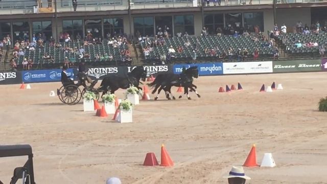 Tryon 2018 World Equestrian Games ~ Day 3 Part I: Driving Cones Test смотреть онлайн