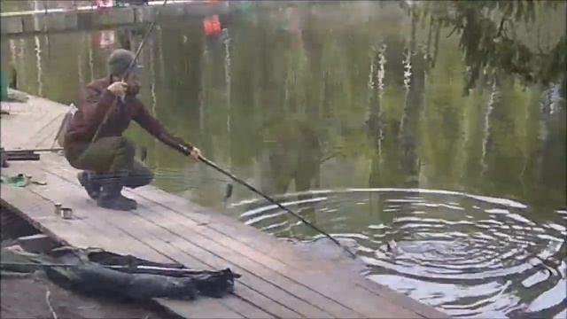 Форель хорошо ловится на стационарные снасти. Клёвое место, Лосиный остров, нижний водоём. смотреть онлайн