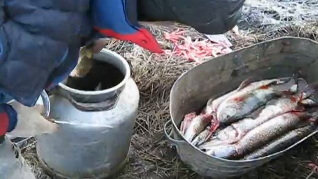 Осенняя рыбалка на Ангаре!!!(небольшой улов)