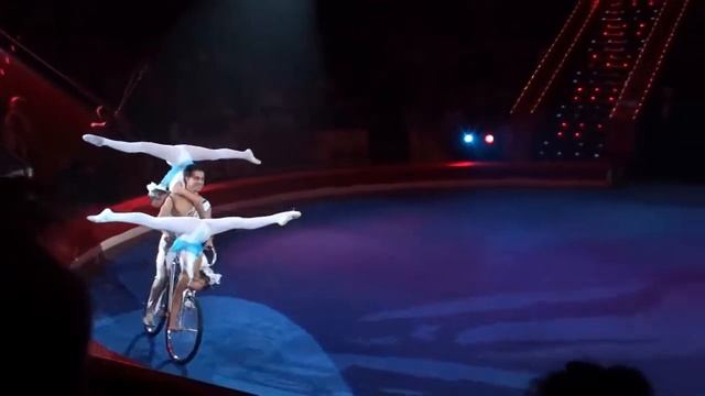 Казанский цирк смотреть онлайн