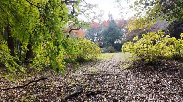 続日本100名城　笠間城　山頂部に残る堅牢な石垣　茨城県　Kasama Castle смотреть онлайн