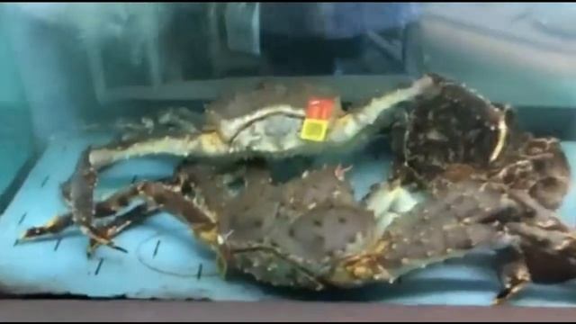 Фотография Природы и Ландшафтов