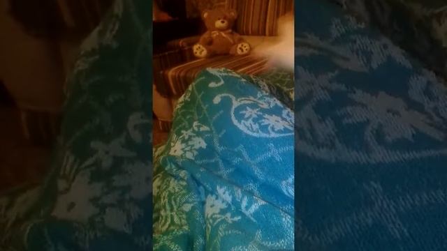 Мой ПОЛУ вечер!!! смотреть онлайн