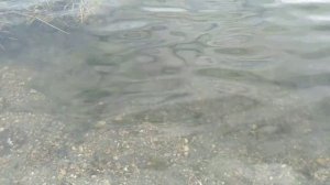 Путешествие по Беляевским карьерам. Рыбалка по-женски. Часть 6.  Покажу все секретные места!