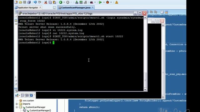Oracle MSCA Pre Scan Using CustomScanManager смотреть онлайн