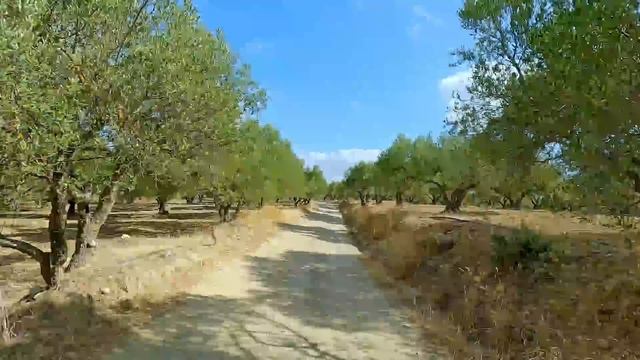 Le paradis du OFF-ROAD à moto est ICI ! Kriti Raid 2023 en Honda CRF 300 смотреть онлайн