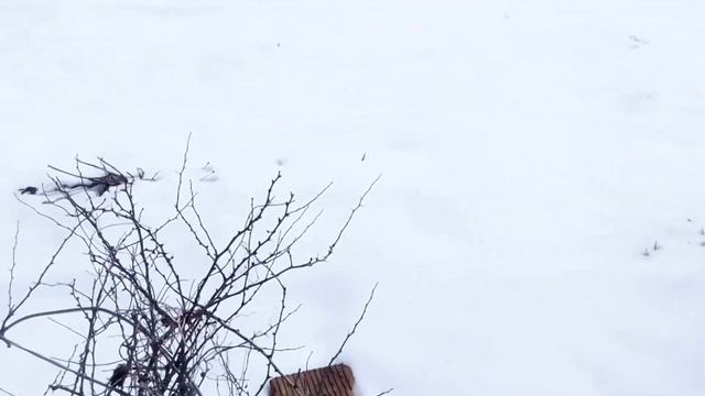 Так вот ты какое 81 ФЕВРАЛЯ! ))) смотреть онлайн