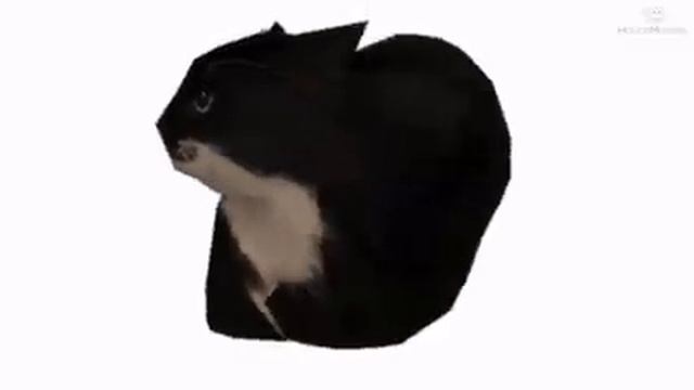 Maxwell The Cat Theme 10 Hours