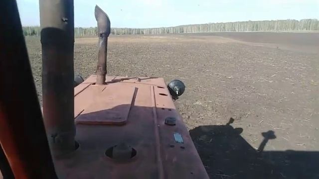 Предпосевная культивация на Т4 таскаю свадьбу Кпс-ов смотреть онлайн