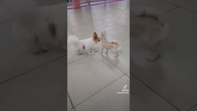 VID_88850329_132816_907.mp4 смотреть онлайн