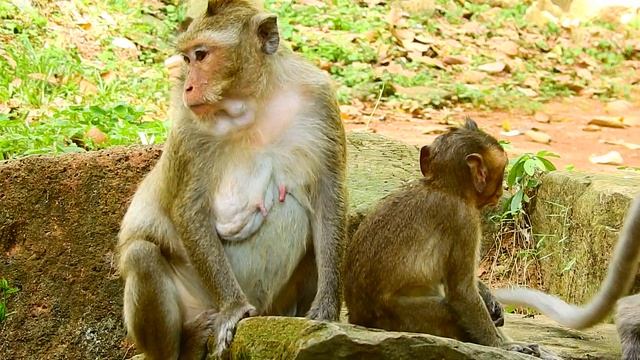 Oh mygod!! What 's wrong on baby, David cry loudly& loudly, Baby call mum 1105 смотреть онлайн