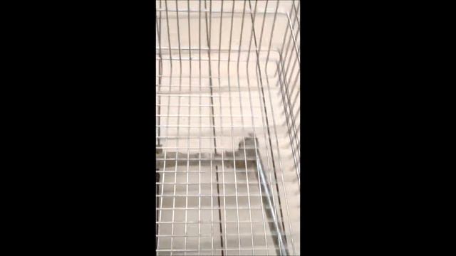 Мой пепелац (смотреть со звуком) смотреть онлайн
