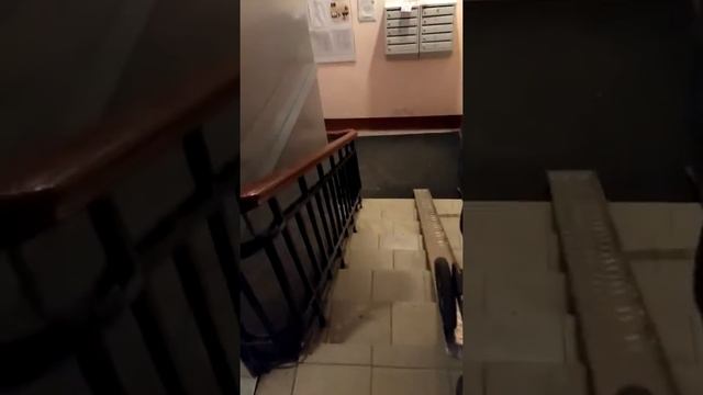 пандус для детских колясок смотреть онлайн