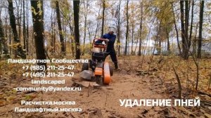 Удаление пней без корчевания. Как быстро и легко избавиться от пня на своем участке?