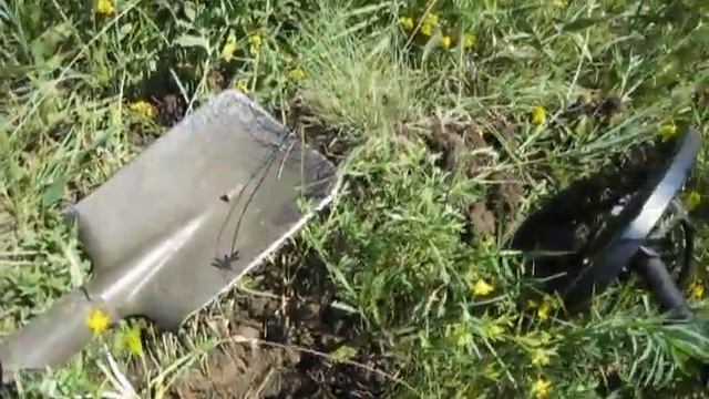 Коп 2020. Супер находка. Перстень с сапфиром. ACE250(MD6250).