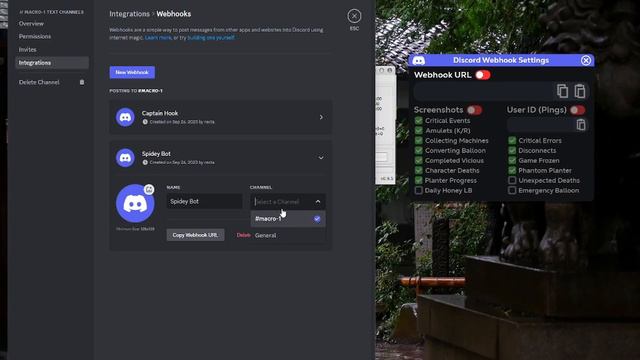 How To Setup Discord webhook | Access hourly graphs! | Bee Swarm Simulator, Natro Macro смотреть онлайн
