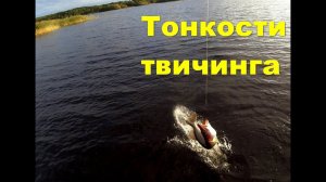 Некоторые тонкости рыбалки на твичинг