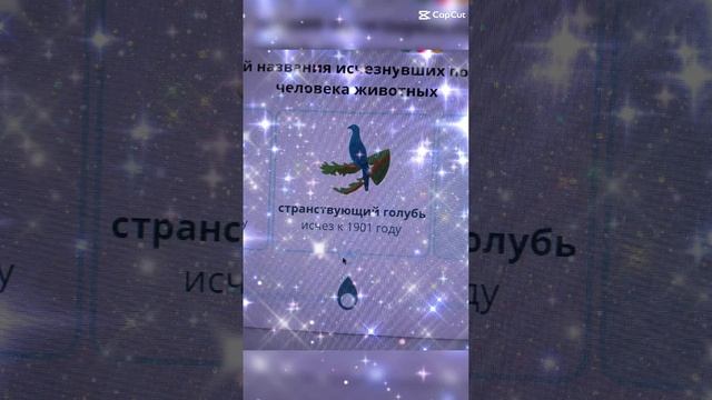 Без названия