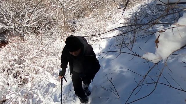 In the footsteps of the snow leopard (part 2) смотреть онлайн