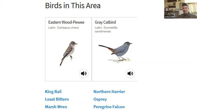 Birdwatching in Atlantic County with Atlantic Audubon смотреть онлайн