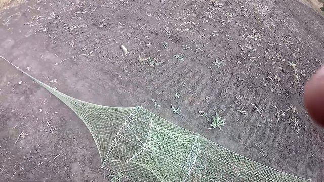Лучшая раколовка Дорожка в Украине! ///В подарок Подписчикам /// смотреть онлайн