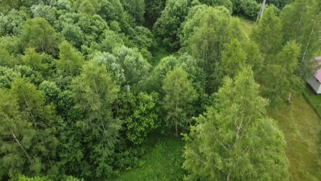 Юрьево 1038 смотреть онлайн