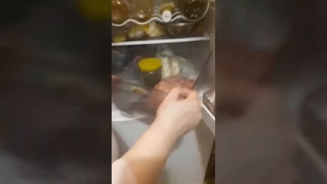 Я нашла в холодильнике червей!