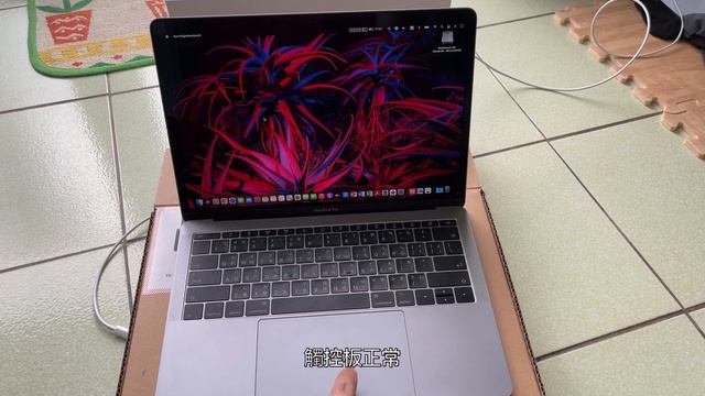 Macbook Pro 13 A1708 2017年式 基本功能檢查 смотреть онлайн