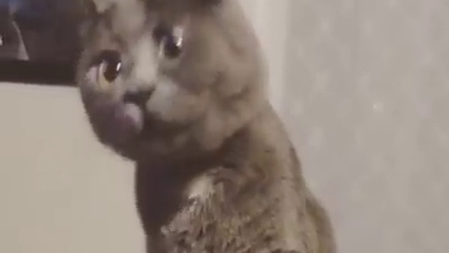 Я от вас балдею смотреть онлайн