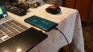 перепрошивка Samsung s9+ LDU