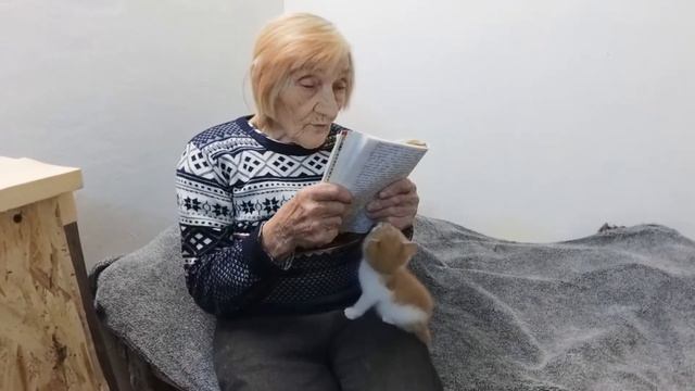 Бабушка читает сказку. Часть 4.