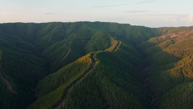 ТАВРСКИЕ ГОРЫ смотреть онлайн