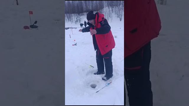 Умелое вываживание форели на тонкие снасти зимой. смотреть онлайн
