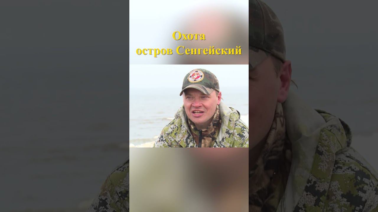 Охота на острове Сенгейский 15 #охотавроссии #охотанагуся смотреть онлайн