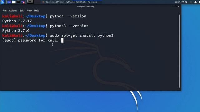 Easiest Way to Install or Update Python 3.8.2 in Kali Linux 2020.1 смотреть онлайн