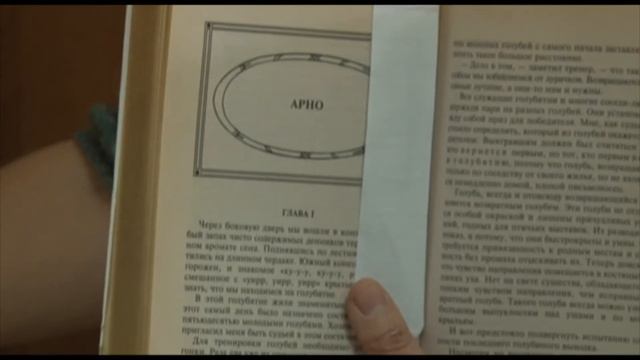 Голубь с известием в клюве смотреть онлайн