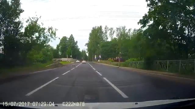 Утка с утятами переходят дорогу смотреть онлайн