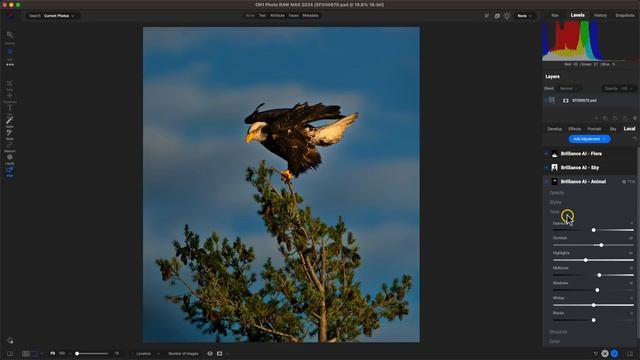 Sneak Peek – Use Photo RAW 2024 Max with Lightroom, Photoshop, Apple Photos, and More! смотреть онлайн