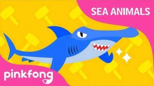 Boom, Bang, Hammerhead Shark | Sea Animals Song | Pinkfong Songs for Children