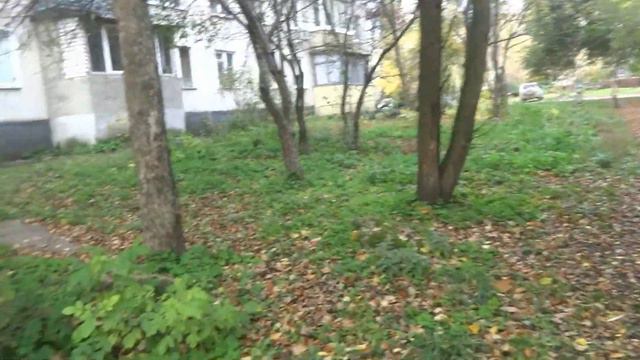 VLOG: КАК ГУЛЯТЬ С СОБАКОЙ ЕЛКА AniLifeZ смотреть онлайн