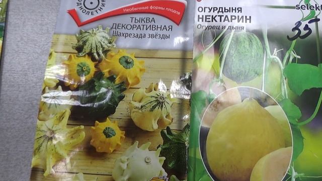 Экзотика- бахча. смотреть онлайн