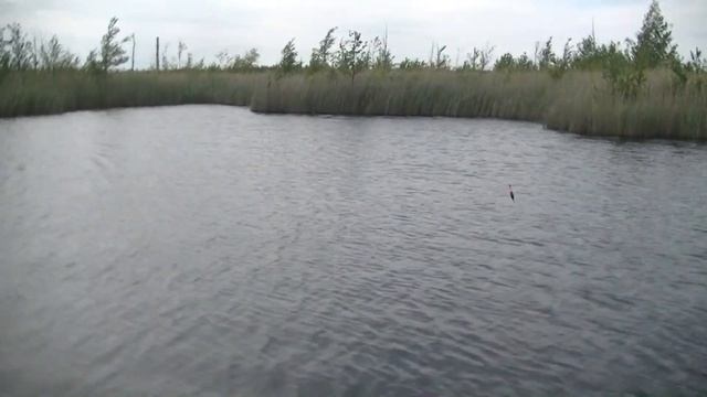 Обкатываем новый комплект лодка RiverBoats и мотор Suzuki 2.5 смотреть онлайн