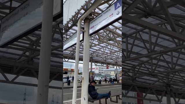 БЕСПЛАТНО ДО ТЯК ЮЖНЫЕ ВОРОТА ?#садовод #рыноксадовод смотреть онлайн