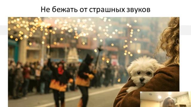 Вебинар на тему "Боязнь громких звуков" смотреть онлайн