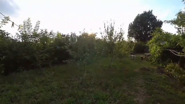 Мои животные - 29.07.2021 год. HD MEDIUM FR30. смотреть онлайн