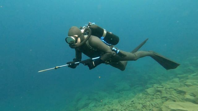 Spectre Frogman смотреть онлайн